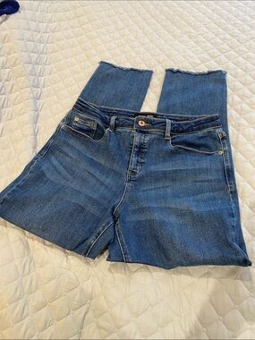 Classic Blue High-Rise Women’s Jeans Size 10